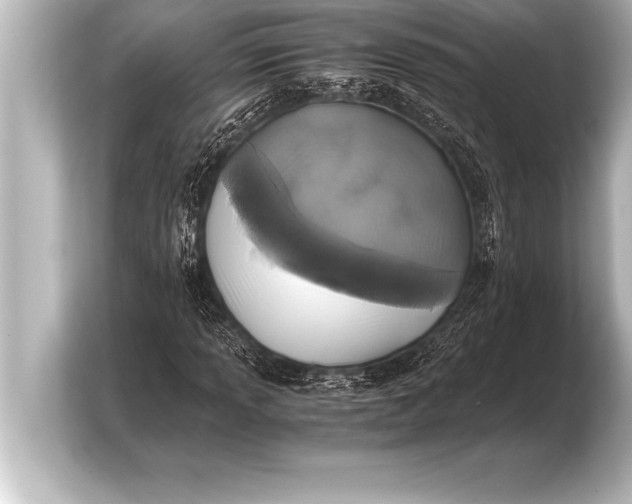 X0000103961013200810031159