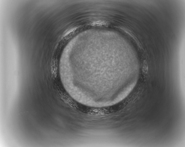 X0000103961015200810031159