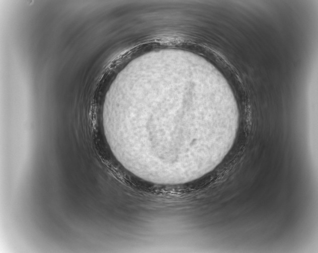 X0000103961016200810031159