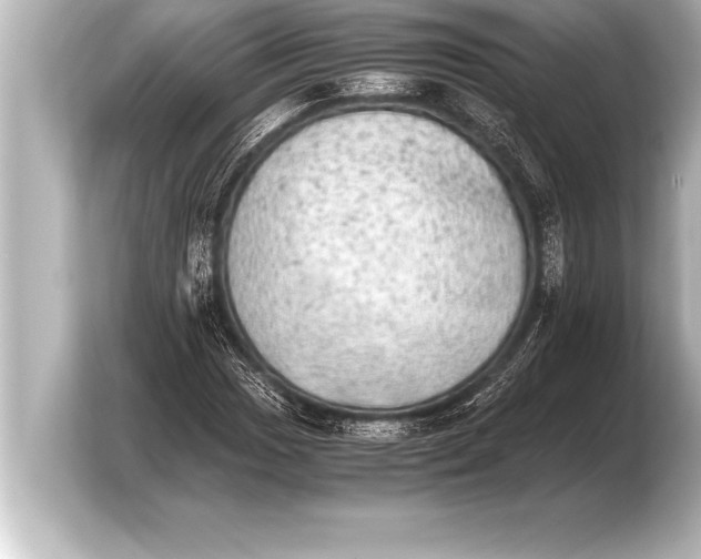 X0000103961017200810031159