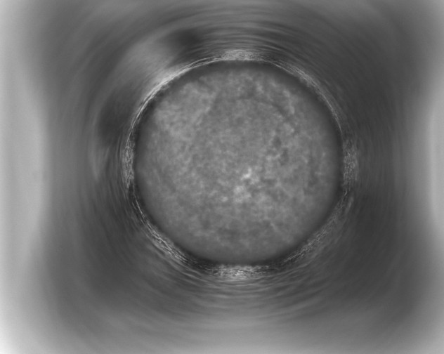 X0000103961019200810031159
