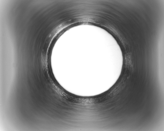 X0000103961020200810031159