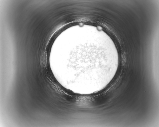 X0000103961021200810031159