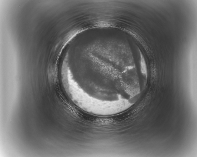 X0000103961023200810031200