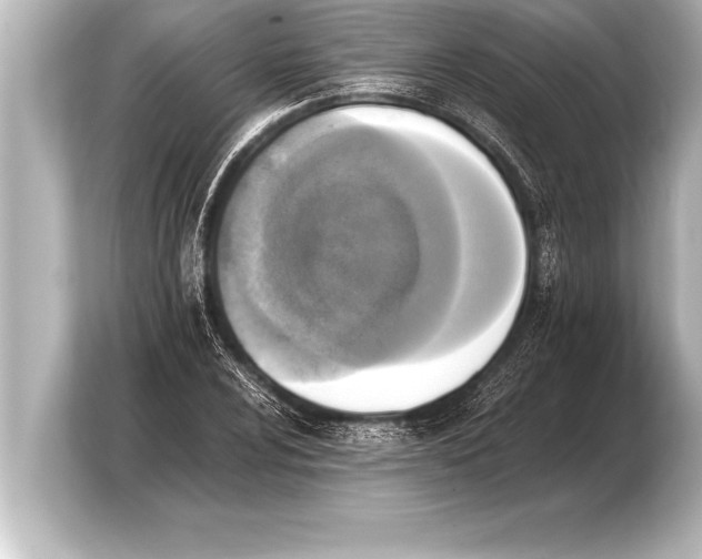 X0000103961024200810031200