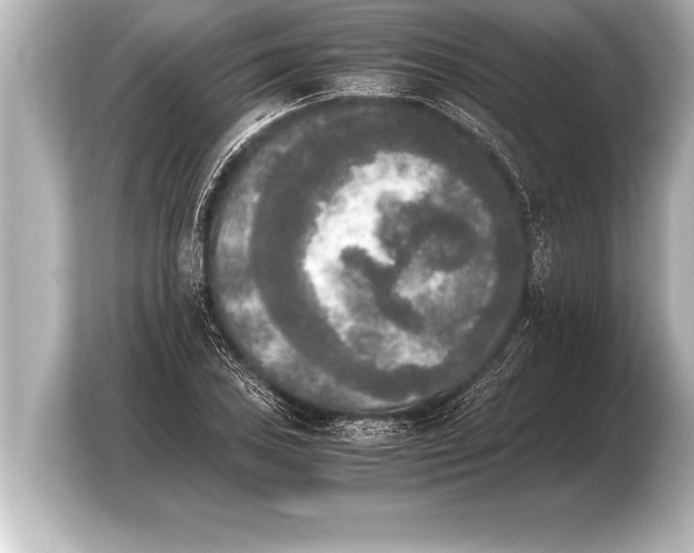 X0000103961027200810031200
