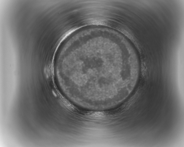 X0000103961028200810031200