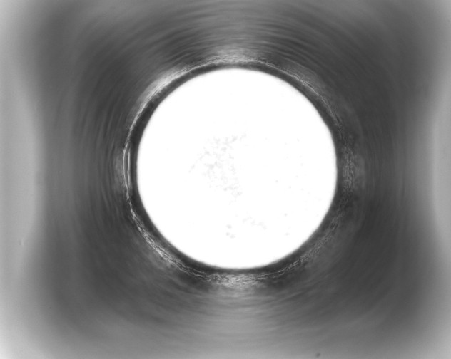 X0000103961030200810031200