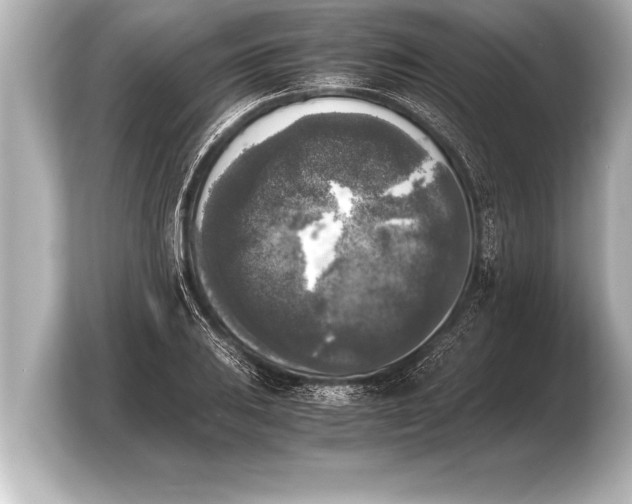 X0000103961031200810031200