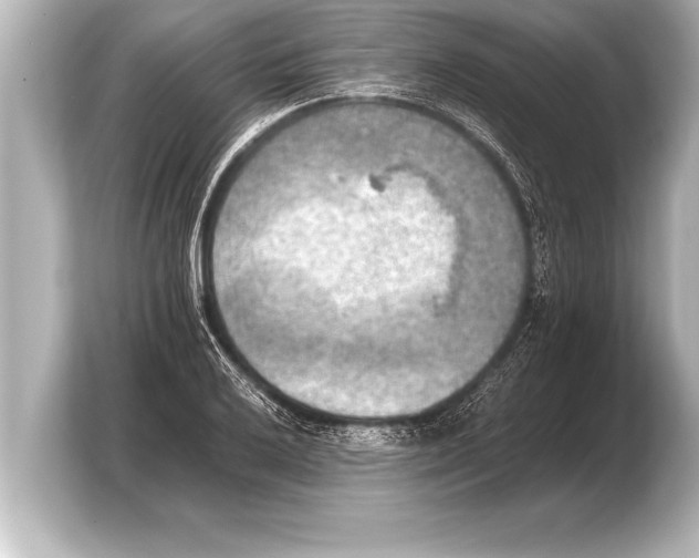 X0000103961032200810031200