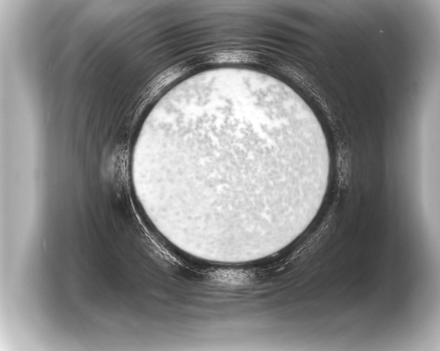 X0000103961033200810031200