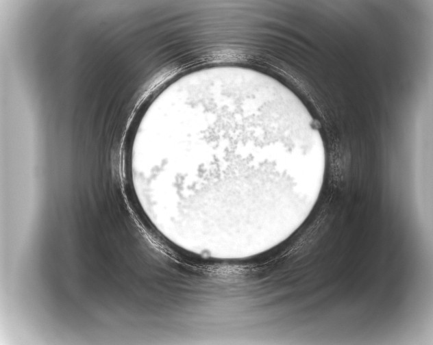 X0000103961034200810031200