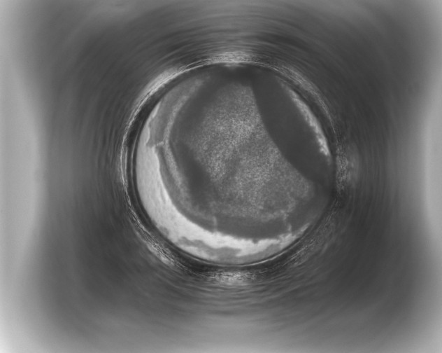 X0000103961035200810031200