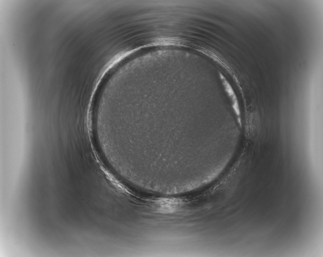 X0000103961037200810031200