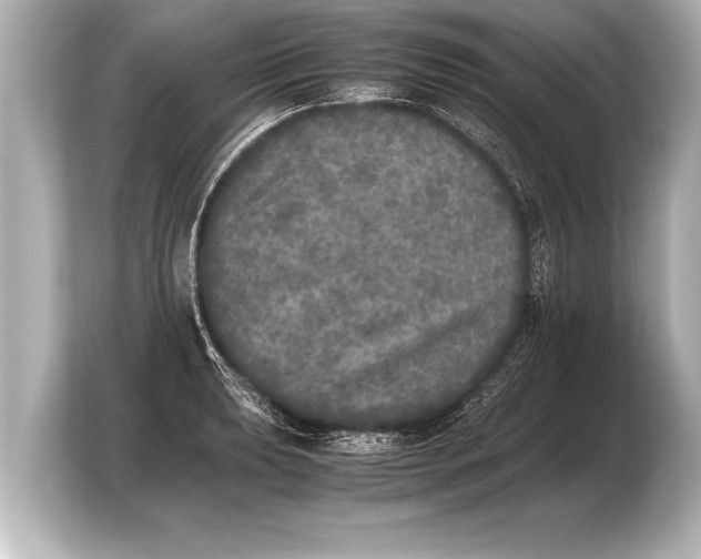 X0000103961039200810031200