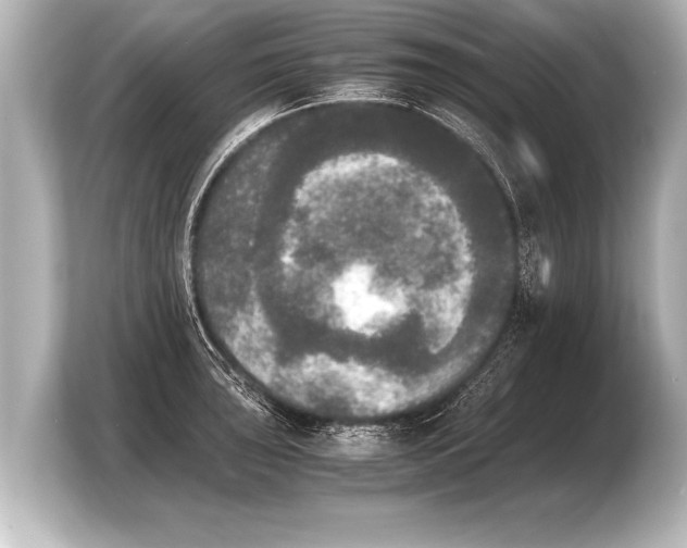 X0000103961043200810031200