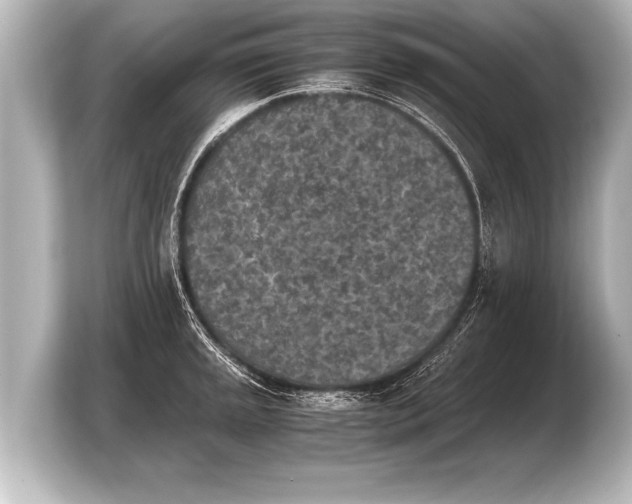 X0000103961045200810031200