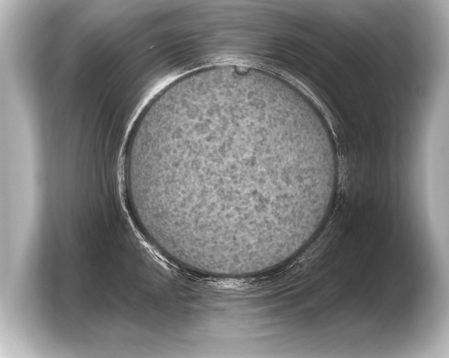 X0000103961048200810031200