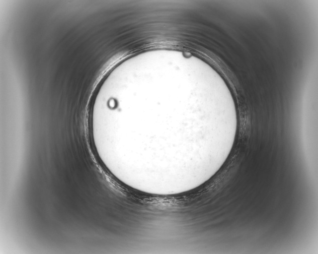 X0000103961050200810031200