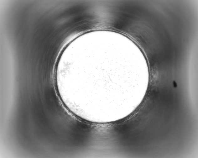 X0000103961053200810031200