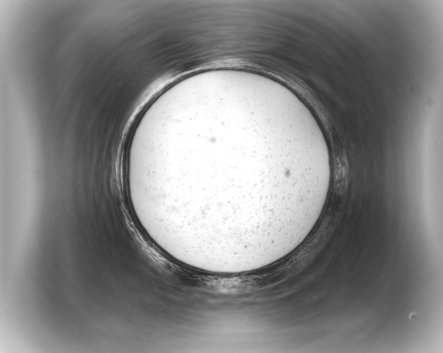 X0000103961054200810031200