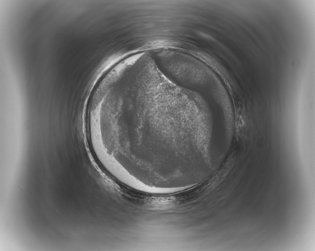 X0000103961055200810031200