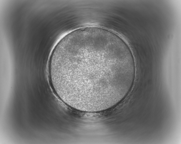 X0000103961056200810031200