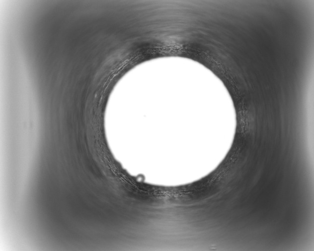 X0000103961057200810031159