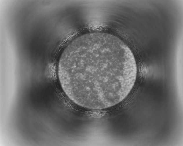 X0000103961060200810031159