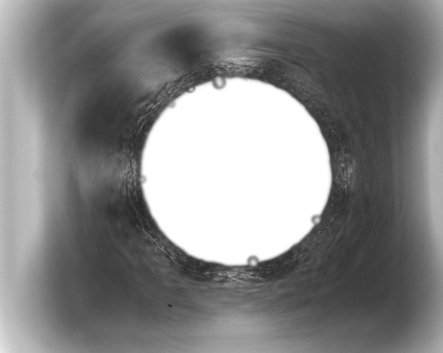 X0000103961061200810031159
