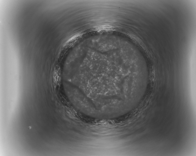 X0000103961063200810031159