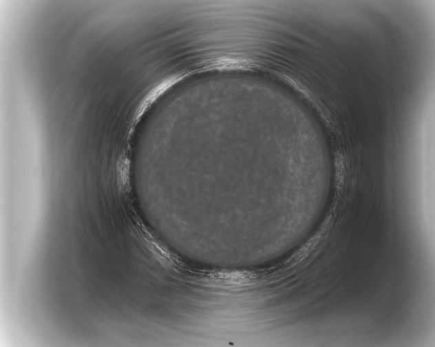 X0000103961066200810031159