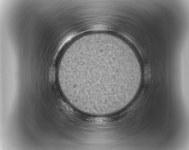 X0000103961067200810031159