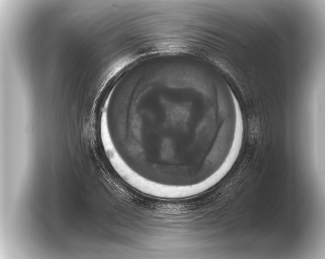 X0000103961071200810031159