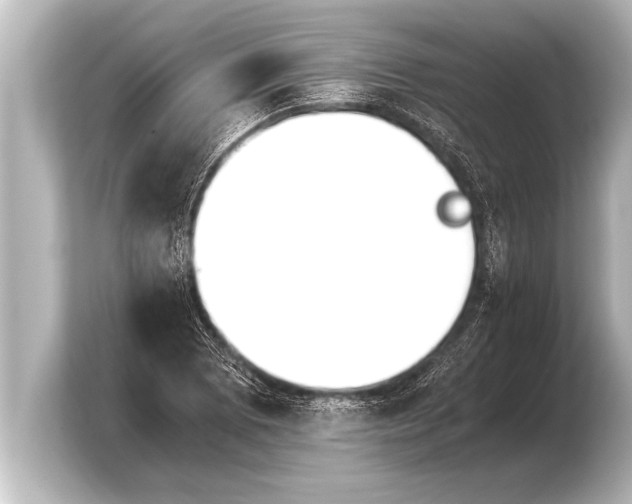 X0000103961073200810031159