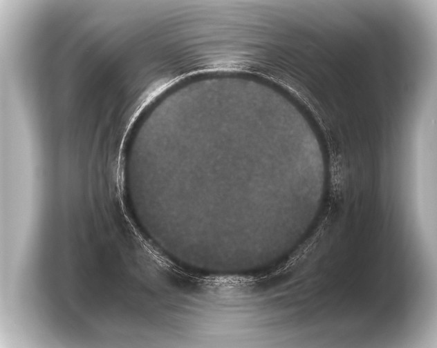 X0000103961077200810031159