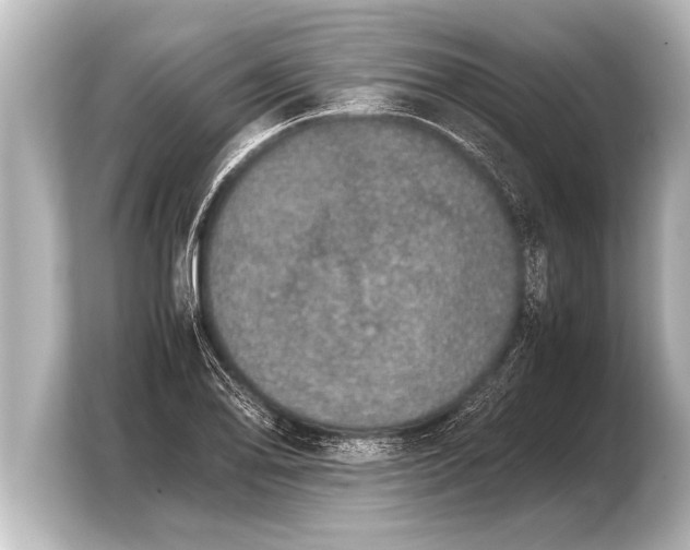 X0000103961078200810031159