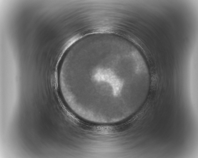 X0000103961079200810031159