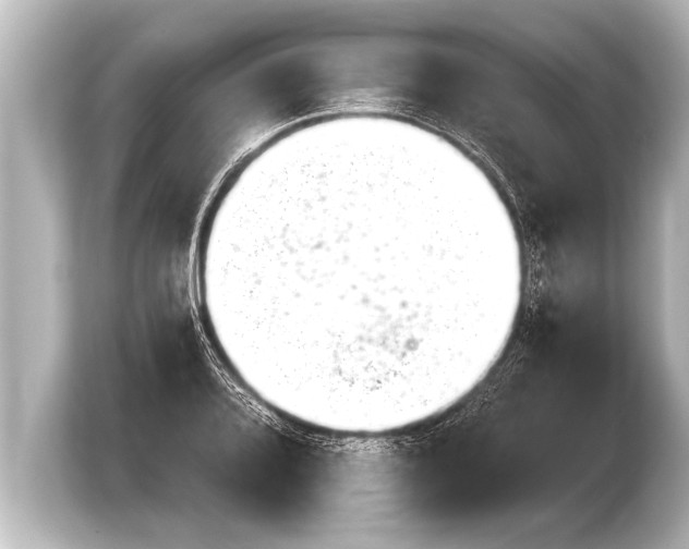 X0000103961080200810031159