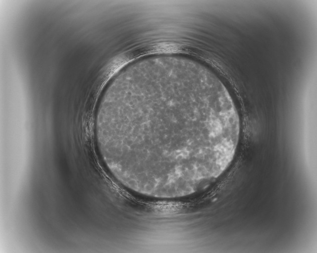 X0000103961081200810031159