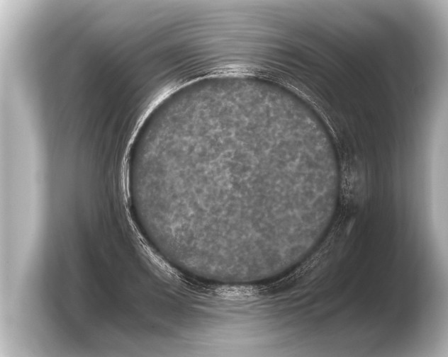 X0000103961083200810031159
