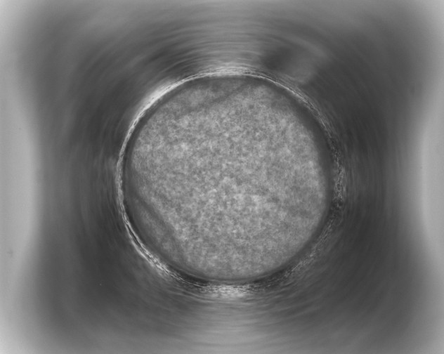 X0000103961086200810031159