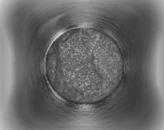 X0000103961087200810031159