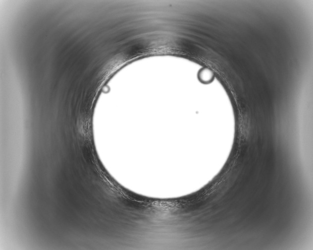 X0000103961089200810031159