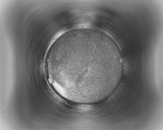 X0000103961090200810031159