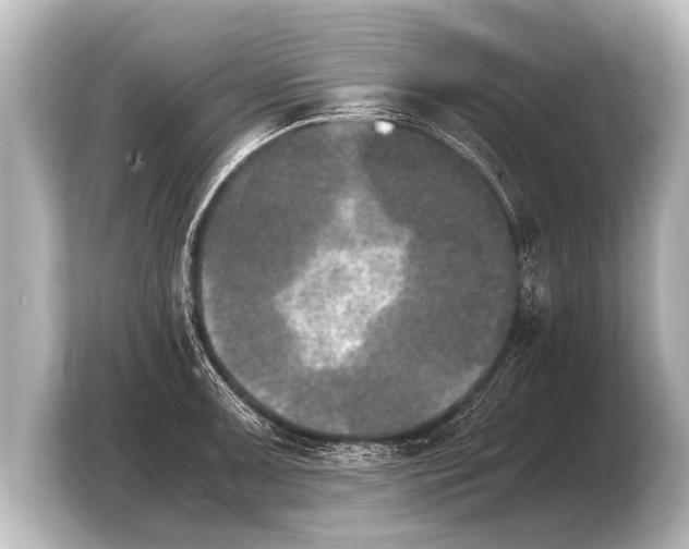 X0000103961091200810031159
