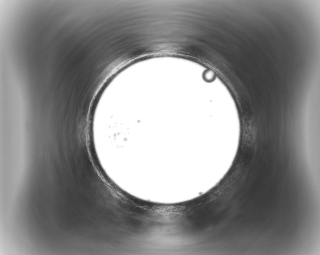 X0000103961093200810031159