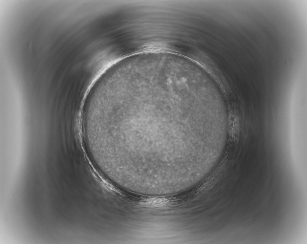 X0000103961094200810031159