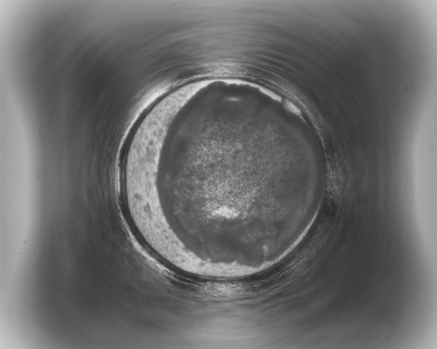 X0000103961095200810031159