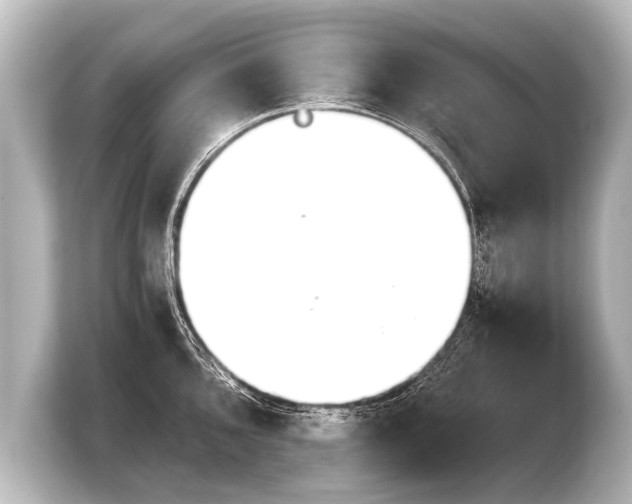 X0000103961096200810031159